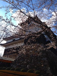 国宝・犬山城☆